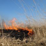 ВИДЕОРОЛИКИ ПО ПРЕДОТВРАЩЕНИЮ ПОЖАРОВ В ВЕСЕННЕ-ЛЕТНИЙ ПЕРИОД ПОДГОТОВЛЕННЫЕ ГУ МЧС РОССИИ ПО РД