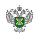 (без названия)