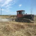 В хозяйствах Курахского района разгар уборки урожая и заготовки кормов