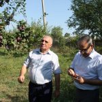 В Сулейман-Стальском районе учащиеся и педагоги заложили плодоносящий сад