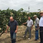 В Каякентском районе провели проверку пострадавших от града виноградарческих хозяйства