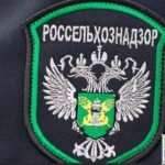 Факты посева некачественных семян озимой пшеницы выявлено в Дагестане