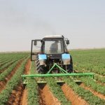 В 2020 г. сельхозпроизводители получат участки на законных условиях