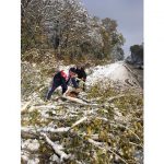 Лесничества приступили к очистке дорог и лесных участков