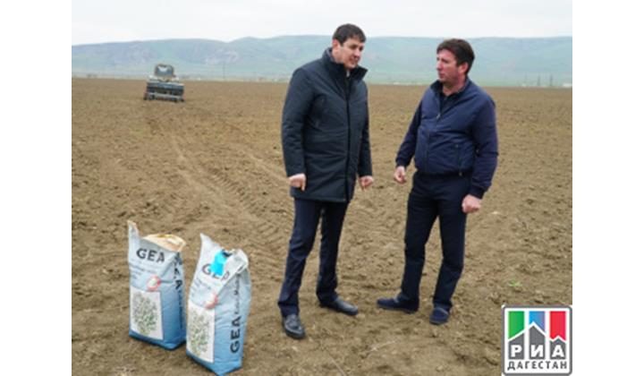 С ходом посева люцерны в хозяйствах Карабудахкентского района ознакомился глава Минсельхоза РД