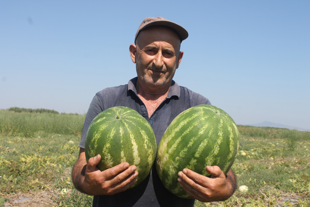 Надиран халидин сала