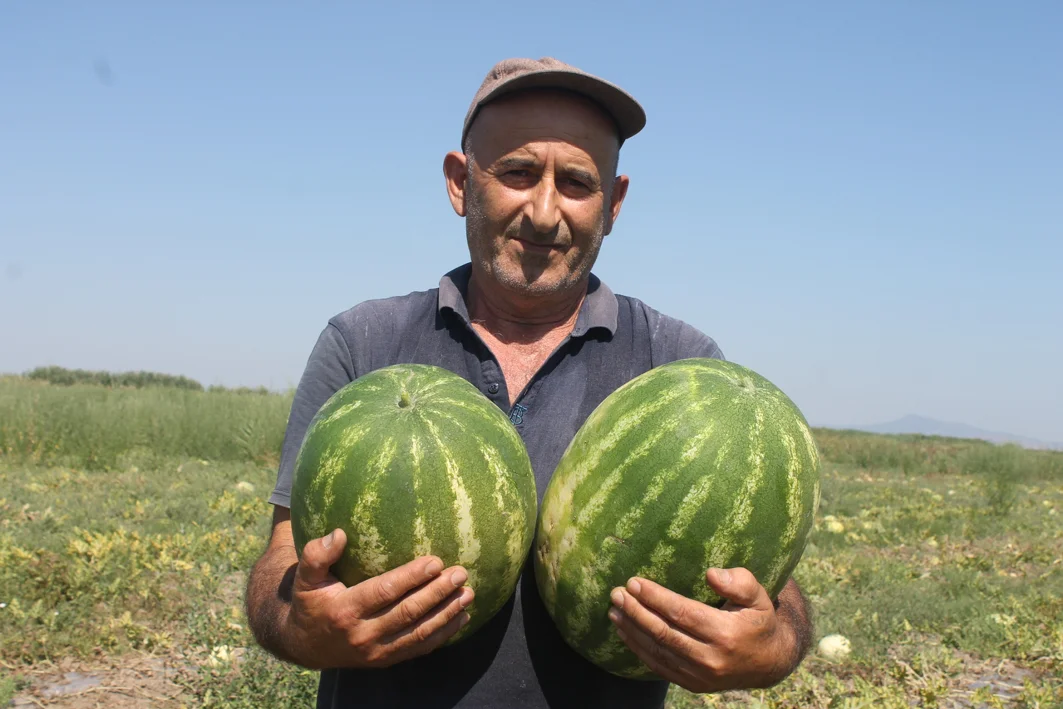 Надиран халидин сала
