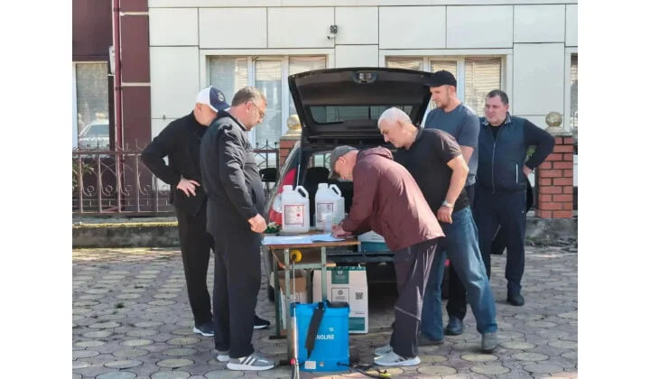 В Магарамкентском районе ведётся борьба с мраморным клопом