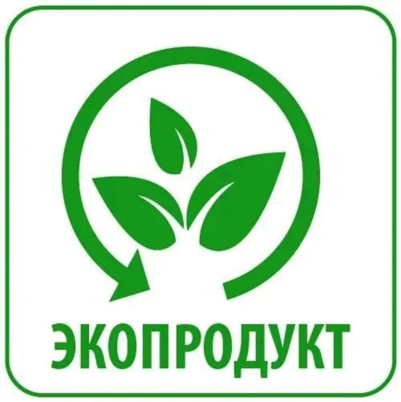 Гила мад ичIи гаф туш