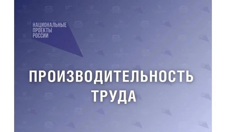 В Дагестане началась новая фаза внедрения федерального проекта «Производительность труда»
