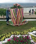 Халис сувариз  элкъвена