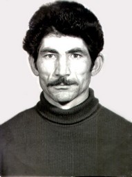 Зегьметда зирекди