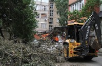 Коммунальщики Махачкалы продолжают распиливать и вывозить поваленные ветром деревья