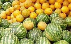 О рекомендациях Роспотребнадзора по выбору арбузов и дынь