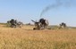 Площадь посевов риса в Дагестане увеличится на тысячу гектаров