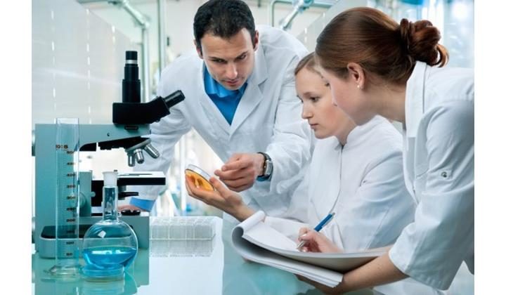 Учёные нашли ранее неизвестную роль жира в защите от инфекций