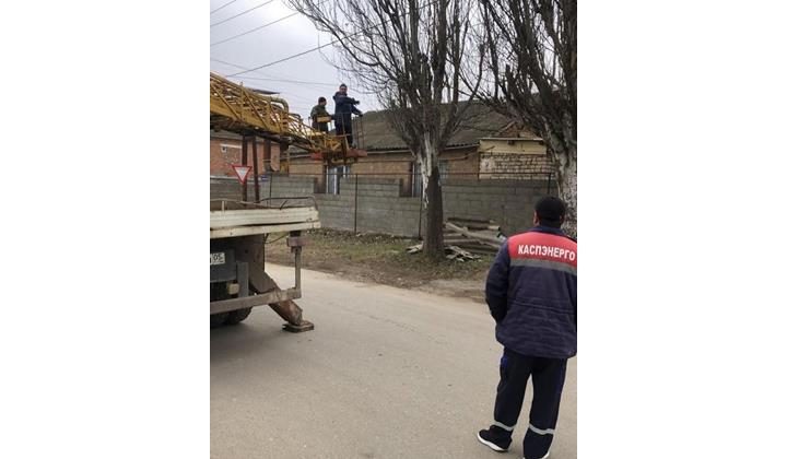 В Каспийске продолжаются плановые работы по формирующей и санитарной обрезке деревьев.