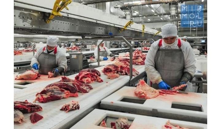 В сфере переработки сельхозпродукции в Дагестане реализуют несколько инвестпроектов