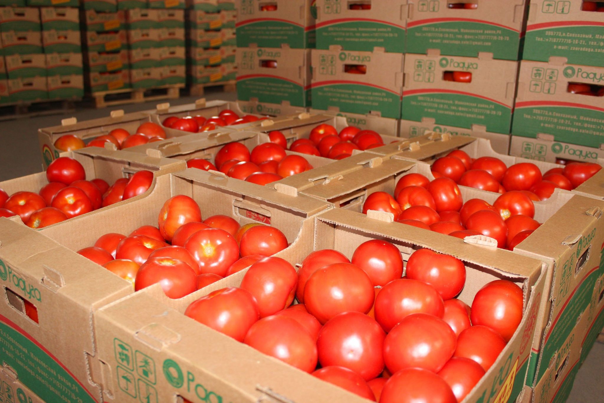 С марта в республике импорт растительной продукции составил около 19 тысяч тонн