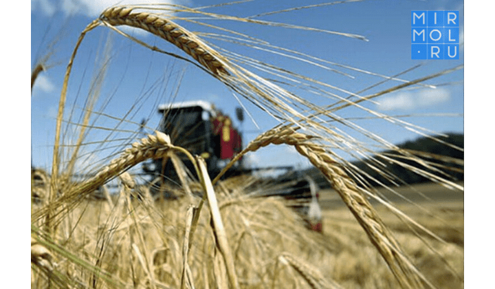 На 6,5 млрд рублей произведено сельхозпродукции в Дагестане за два месяца 2021 года