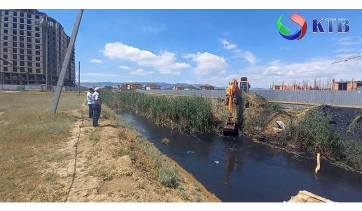 В Каспийске проводятся мероприятия экологической направленности