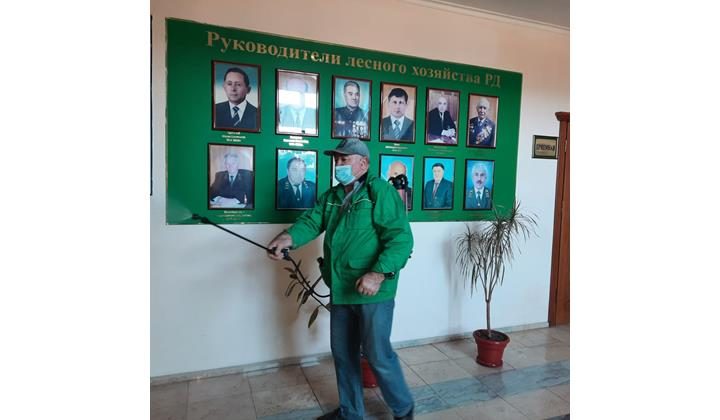 В целях профилактики коронавируса Даглесхоз продолжает дезинфекцию помещений