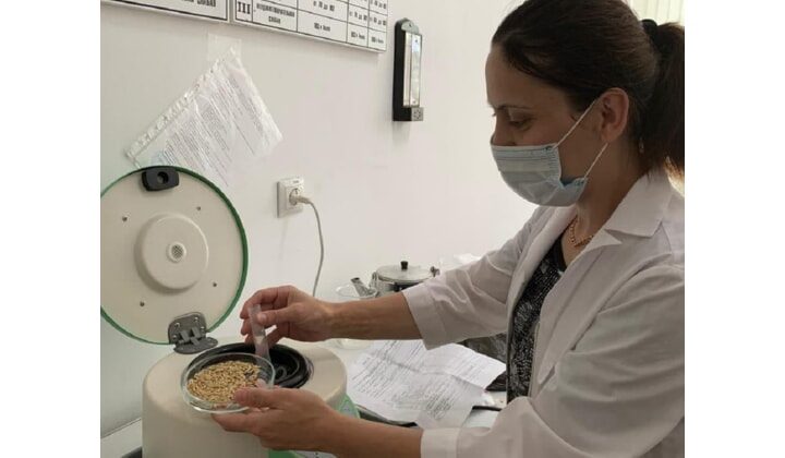 Аграриев Дагестана призвали засеивать поля только качественными семенами