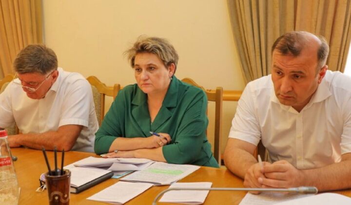Татьяна Беляева выступила на заседании Правительственной комиссии РД