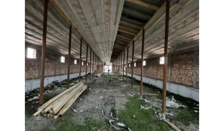 Строительство крупной буйволиной фермы завершается в Дагестане