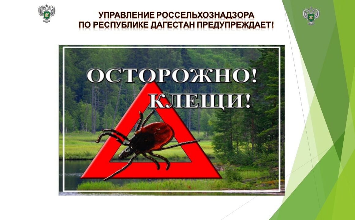 Управление Россельхознадзора по Республике Дагестан предупреждает! Как защититься от клещей