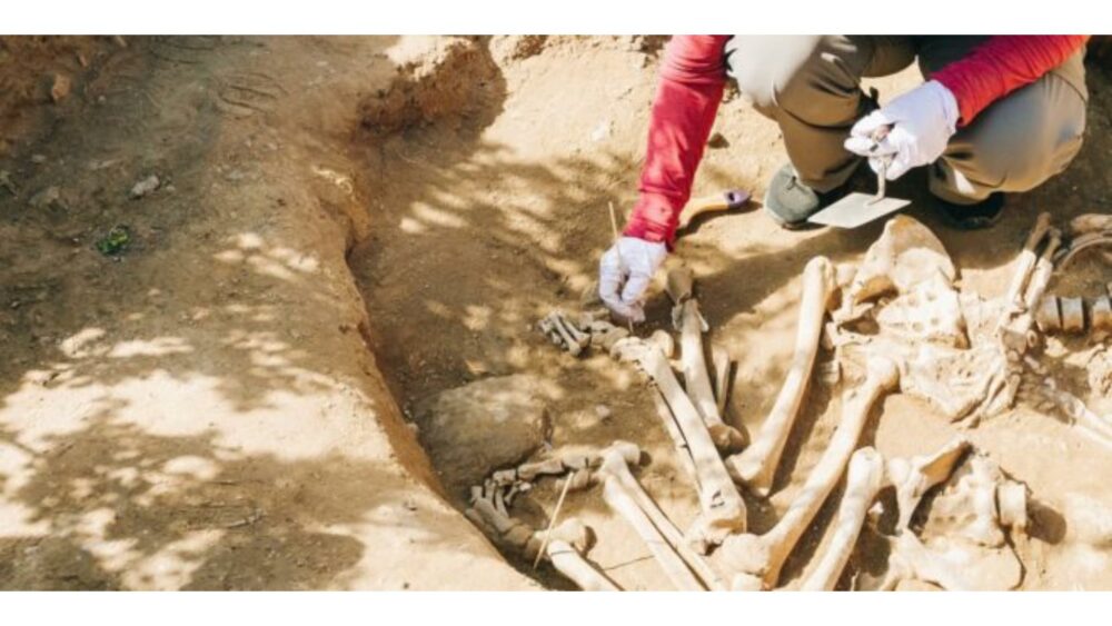 Курган возрастом около 4000 лет обнаружили в Дагестане