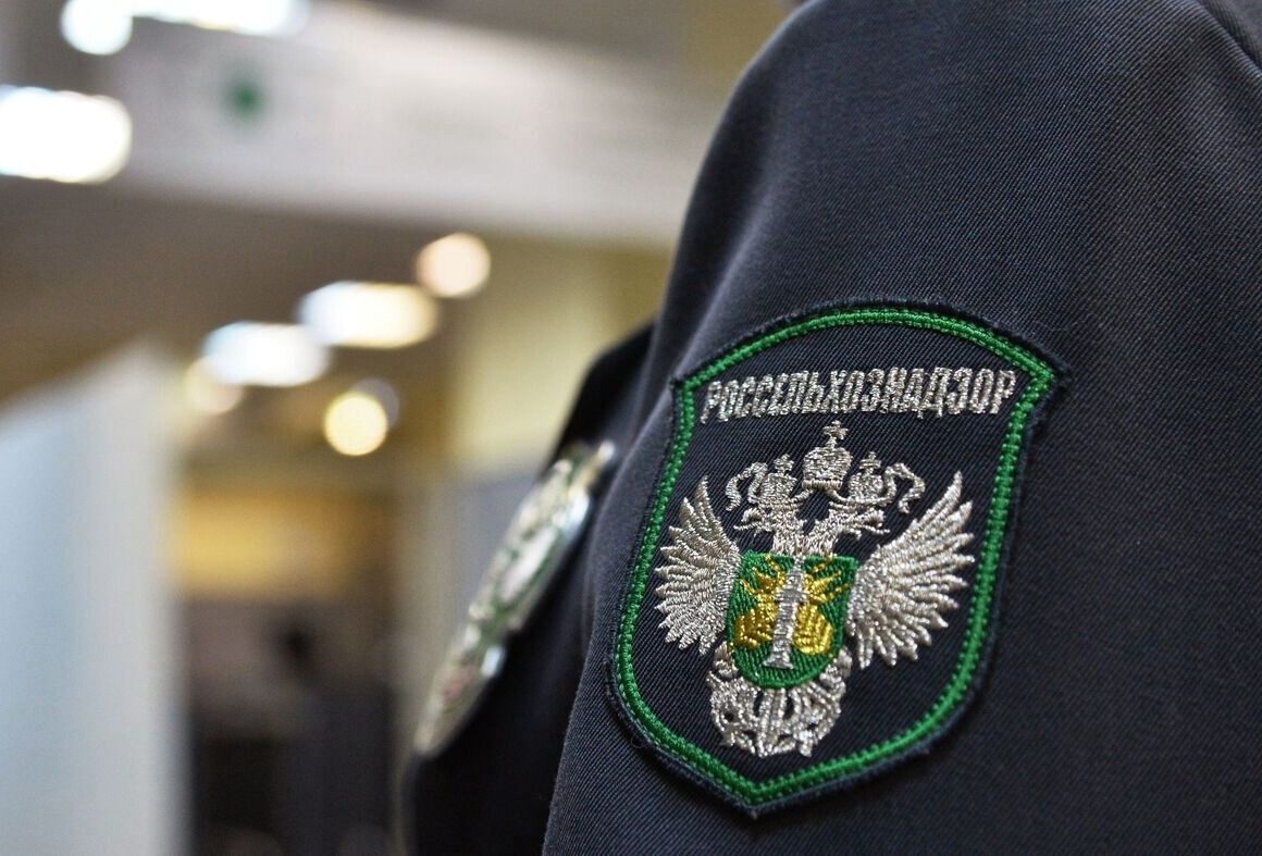 Управлением Россельхознадзора по Республике Дагестан проведено 11 профилактических визитов в отношении контролируемых лиц, осуществляющих производство, хранение, перевозку и реализацию зерна