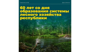 Премьер-министр поздравил дагестанских лесников с 60-летним со дня образования системы лесного хозяйства республики