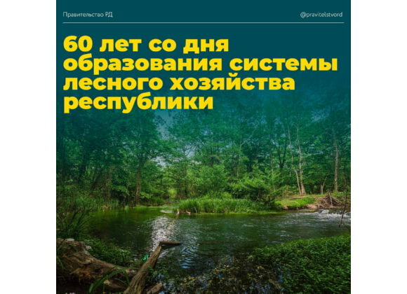Премьер-министр поздравил дагестанских лесников с 60-летним со дня образования системы лесного хозяйства республики