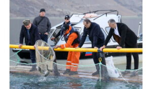 315 млн рублей выделено на поддержку рыбной отрасли из республиканского бюджета с 2022 года