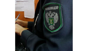 Россельхознадзор выявил нарушения по приемке продуктов питания в махачкалинском детсаду