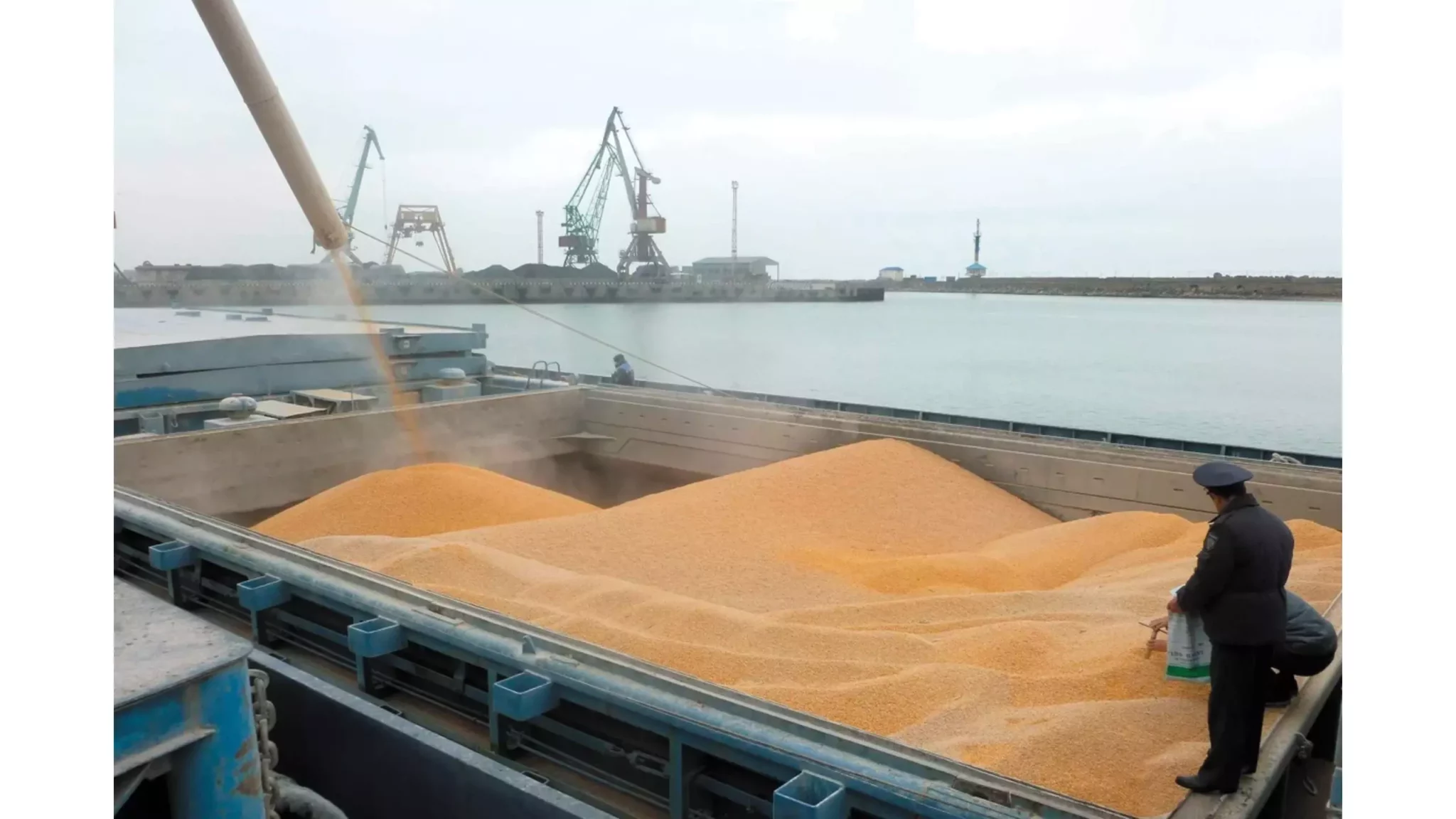 Более 10 тысяч тонн кукурузы из махачкалинского порта отправили в Иран