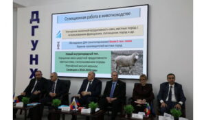 Более 6 млрд рублей выделено на поддержку дагестанских сельхозтоваропроизводителей