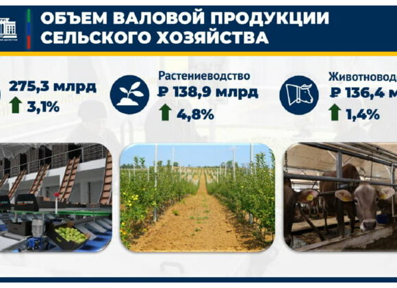275,3 млрд рублей составил объем производства продукции сельского хозяйства за 2025 год