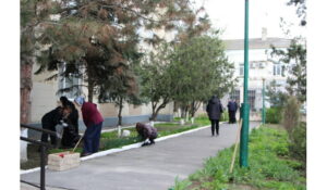 Погода внесла коррективы в общегородской субботник в Кизляре