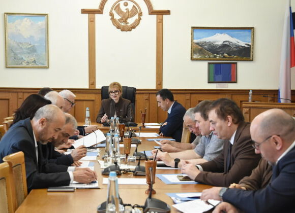 Парламент Дагестана: закон о безнадзорных животных готовят ко второму чтению