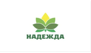Почти 73 млн рублей выплачено пострадавшим от наводнения в Дагестане фондом «Надежда»