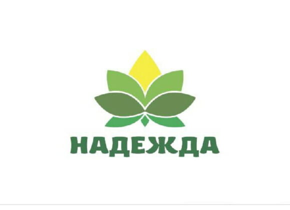 Почти 73 млн рублей выплачено пострадавшим от наводнения в Дагестане фондом «Надежда»